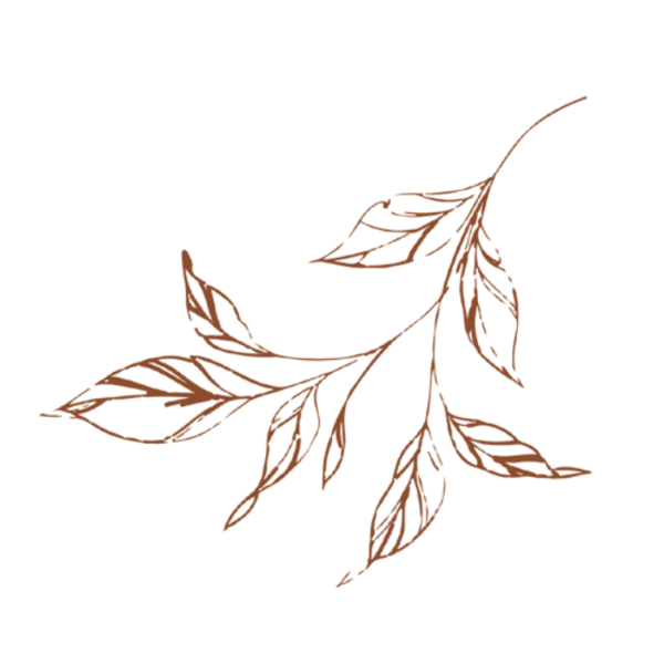 Cams by Camy Gutierrez